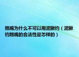 翘嘴为什么不可以用泥鳅钓（泥鳅钓翘嘴的合法性是怎样的）