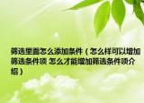 筛选里面怎么添加条件（怎么样可以增加筛选条件项 怎么才能增加筛选条件项介绍）