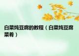 白菜炖豆腐的教程（白菜炖豆腐 菜肴）