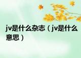 jv是什么杂志（jv是什么意思）