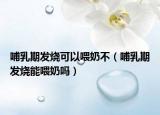 哺乳期发烧可以喂奶不（哺乳期发烧能喂奶吗）