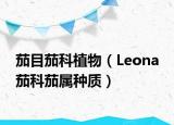 茄目茄科植物（Leona 茄科茄属种质）