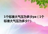 1个标准大气压为多少pa（1个标准大气压为多少?）