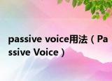 passive voice用法（Passive Voice）
