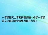 一年级语文上学期拼音试题（小学一年级语文上册拼音专项练习题共八页）