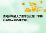 请问开车撞人了要怎么处理（车辆开车撞人后怎样处理）