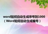 word如何自动生成序号到1000（Word如何自动生成编号）