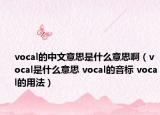 vocal的中文意思是什么意思啊（vocal是什么意思 vocal的音标 vocal的用法）