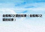 金瓶梅2之爱的奴隶（金瓶梅2之爱的奴隶）