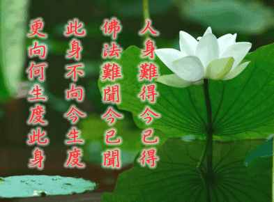 学习三不伤害