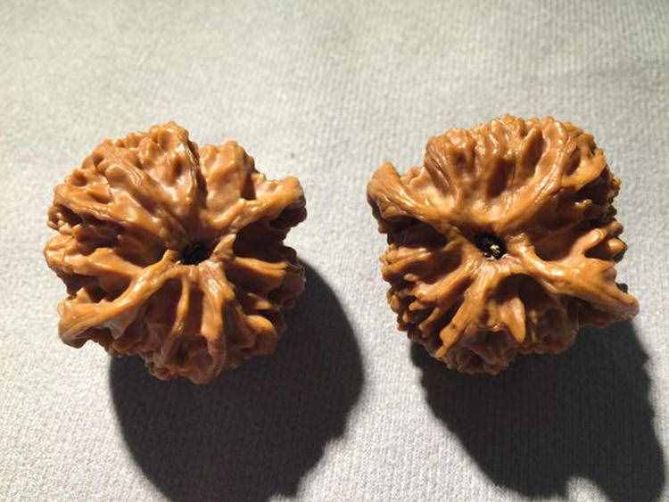 核桃总揉不好？四大阶段告诉你真相！