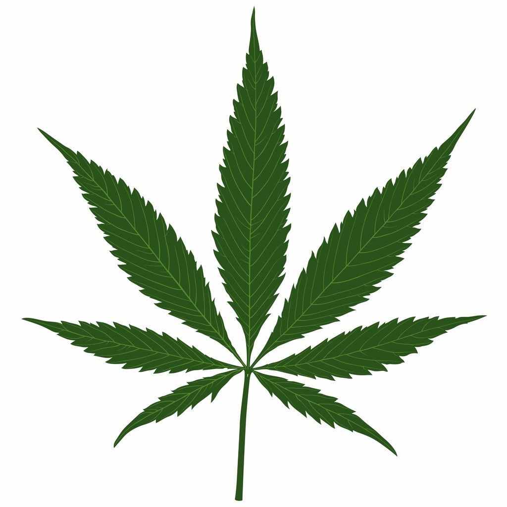 新精神活性物质