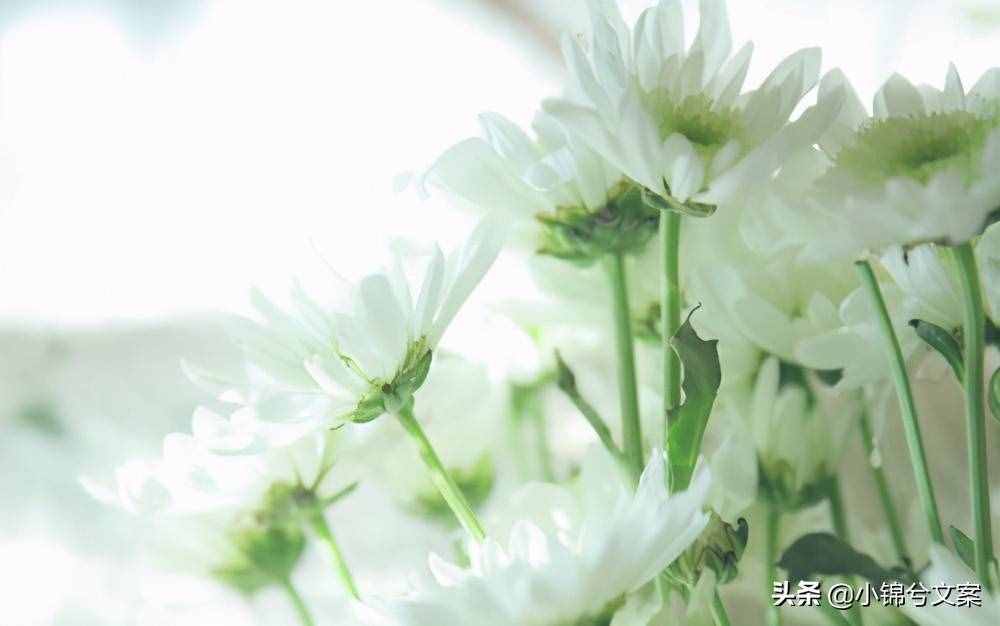 朋友空间留言句子