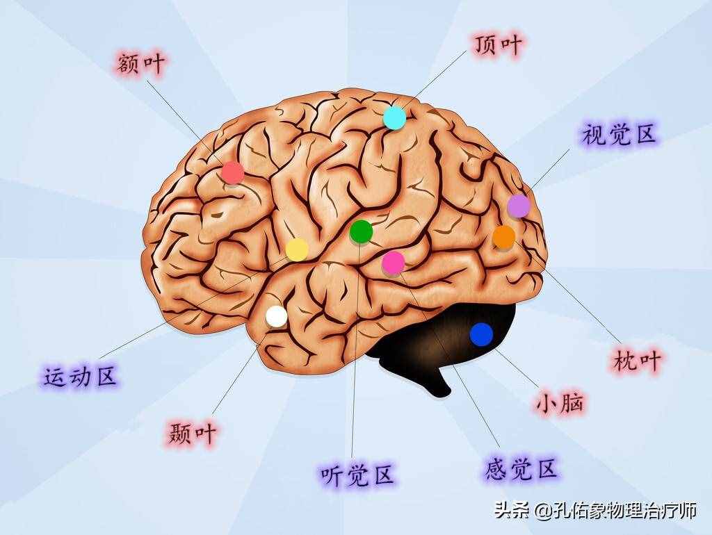 为何如此多的人发生脑出血？要如何正确应对？一文详细告知您