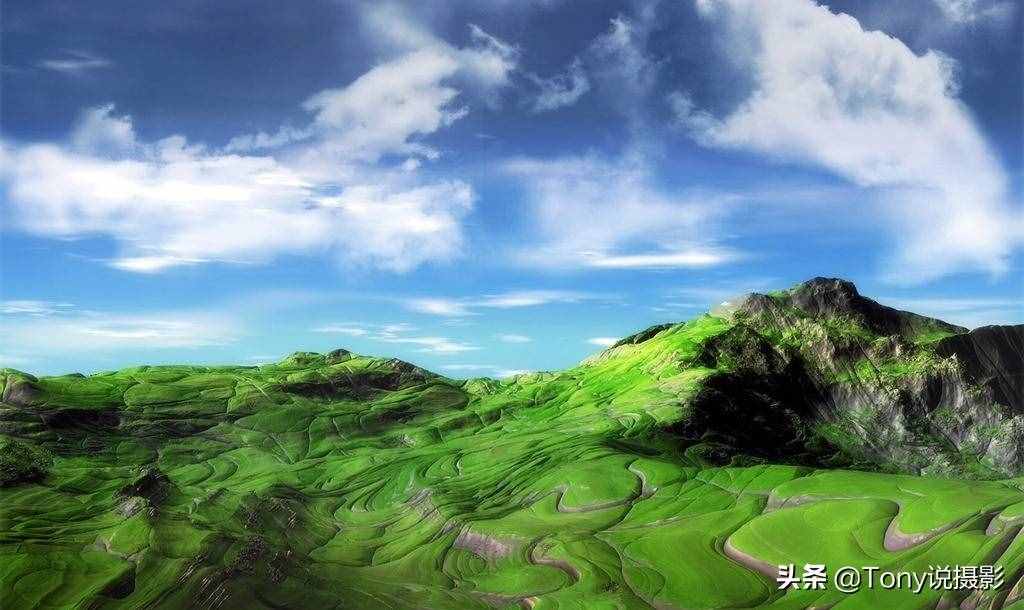 摄影基础知识：相机的测光模式，你真的会用吗？