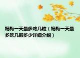 杨梅一天最多吃几粒（杨梅一天最多吃几颗多少详细介绍）
