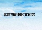 北京市朝阳区文化馆