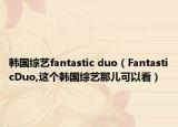 韩国综艺fantastic duo（FantasticDuo,这个韩国综艺那儿可以看）