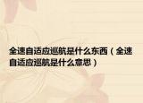 全速自适应巡航是什么东西（全速自适应巡航是什么意思）