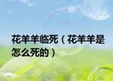 花羊羊临死（花羊羊是怎么死的）