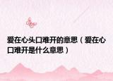 爱在心头口难开的意思（爱在心口难开是什么意思）