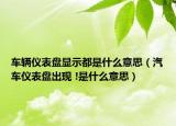 车辆仪表盘显示都是什么意思（汽车仪表盘出现 !是什么意思）