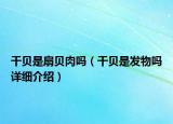 干贝是扇贝肉吗（干贝是发物吗详细介绍）