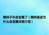 脆柿子外皮变黑了（脆柿表皮为什么会变黑详细介绍）