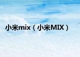 小米mix（小米MIX）