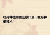 牡丹种植需要注意什么（牡丹种植技术）