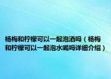 杨梅和柠檬可以一起泡酒吗（杨梅和柠檬可以一起泡水喝吗详细介绍）