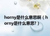 horny是什么意思啊（horny是什么意思?）