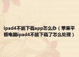 ipad4不能下载app怎么办（苹果平板电脑ipad4不能下载了怎么处理）