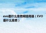 evo是什么意思网络用语（EVO是什么意思）