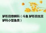 鲈形目慈鲷科（斗鱼 鲈形目丝足鲈科小型鱼类）