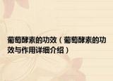 葡萄酵素的功效（葡萄酵素的功效与作用详细介绍）