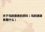 关于鸟的语言的资料（鸟的语语言是什么）