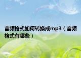 音频格式如何转换成mp3（音频格式有哪些）