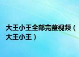 大王小王全部完整视频（大王小王）