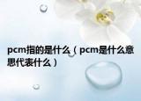 pcm指的是什么（pcm是什么意思代表什么）