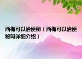 西梅可以治便秘（西梅可以治便秘吗详细介绍）
