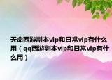 天命西游副本vip和日常vip有什么用（qq西游副本vip和日常vip有什么用）