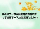 手机摔了一下突然黑屏但还有声音（手机摔了一下,突然黑屏怎么办?）