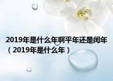 2019年是什么年啊平年还是闰年（2019年是什么年）