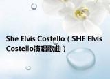 She Elvis Costello（SHE Elvis Costello演唱歌曲）