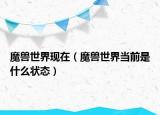 魔兽世界现在（魔兽世界当前是什么状态）