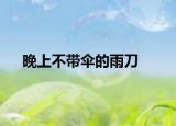 晚上不带伞的雨刀
