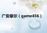 广安摩尔（game456）