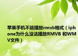 苹果手机不能播放rmvb格式（iphone为什么没法播放RMVB 和WMV文件）