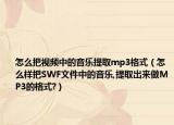 怎么把视频中的音乐提取mp3格式（怎么样把SWF文件中的音乐,提取出来做MP3的格式?）